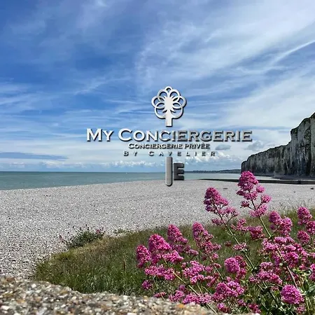 Max1 T2 Avec Terrasse Nouvelle Renovation Octobre 2025 Saint-Valéry-en-Caux